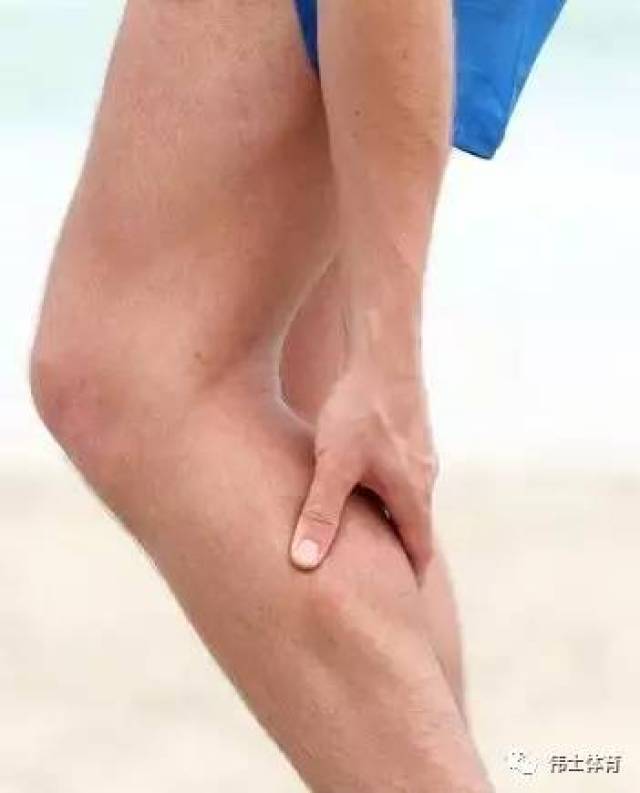 小腿后群的肌肉:在介绍小腿肌肉拉伤的康复和治疗前,先向大家简单介绍