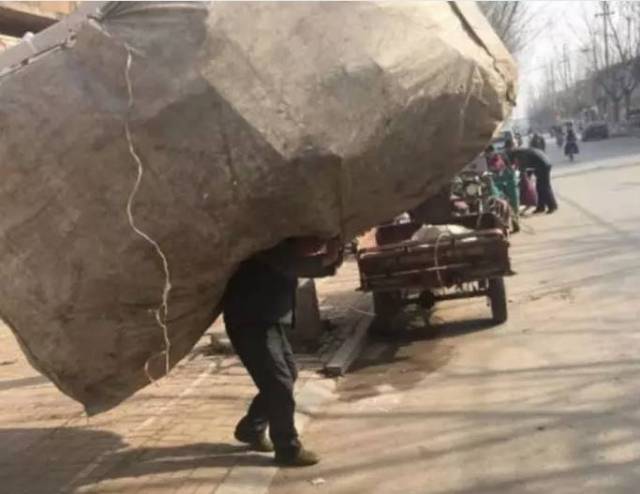 男子在台风中用身体顶住摇摇欲坠的货车,生活各有辛酸