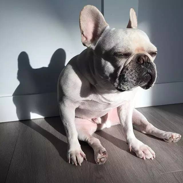 苹果跑到 ins 当摄影博主了!快来get怎么用手机