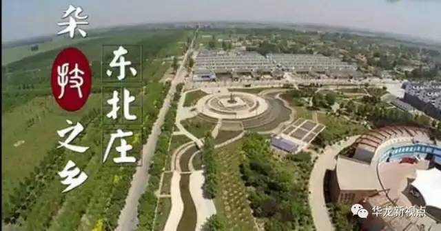 濮阳投资2.6亿元建野生动物园!快看看建成什么样了?