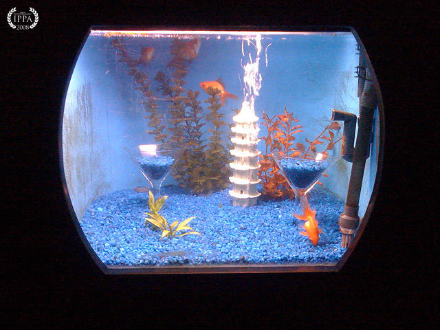 苹果跑到 ins 当摄影博主了!快来get怎么用手机