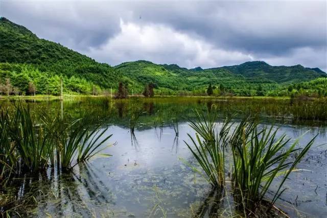 去石柱避暑,除了黄水还有个好地方!