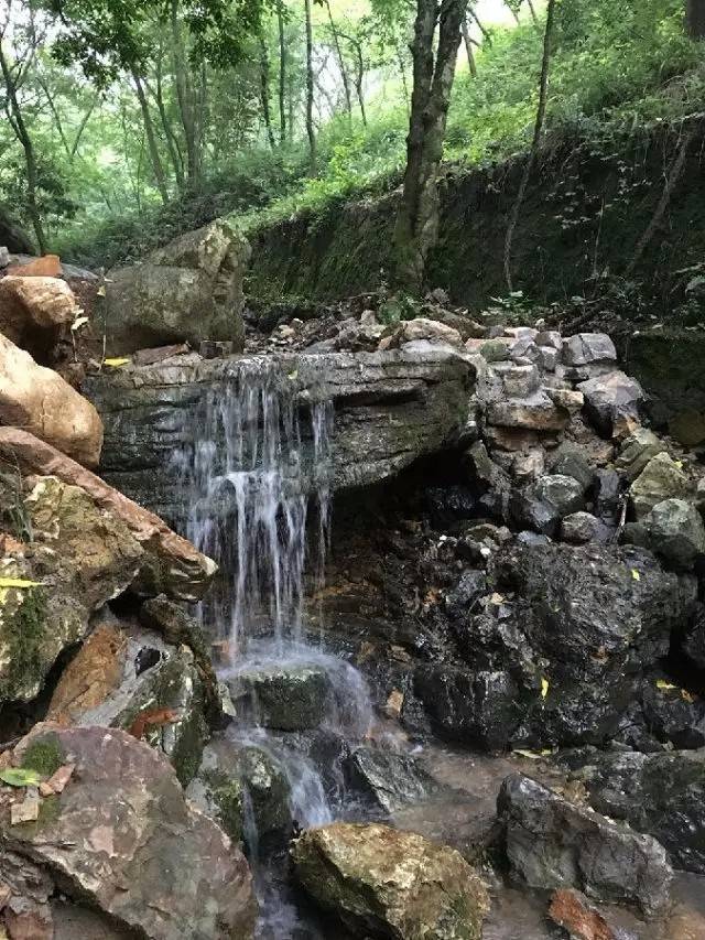 宝华山景区对南京人免费开放半年,自驾1小时直达!