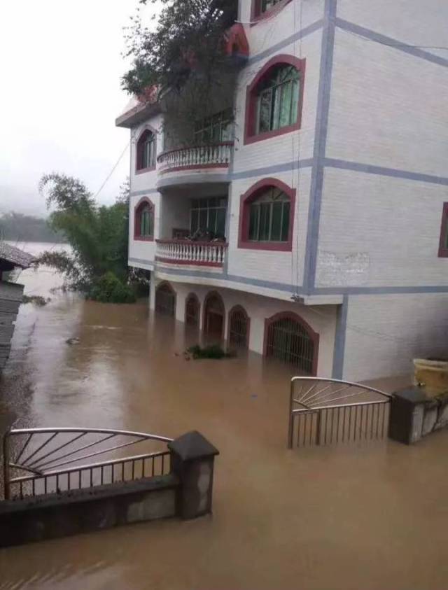 宜宾这次涨大水实录,包含各区县!好多都遭了.