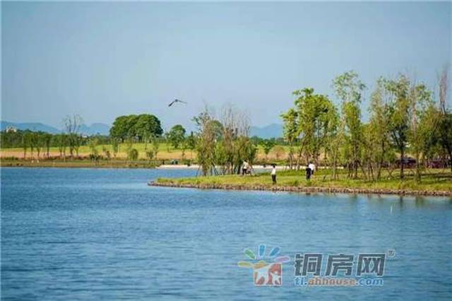 东方蓝海鼎筑西湖新区,与7000亩国家级西湖湿地公园为邻,在一方鲜氧