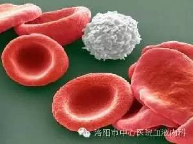 九种表现可能是白血病前兆,你知道吗