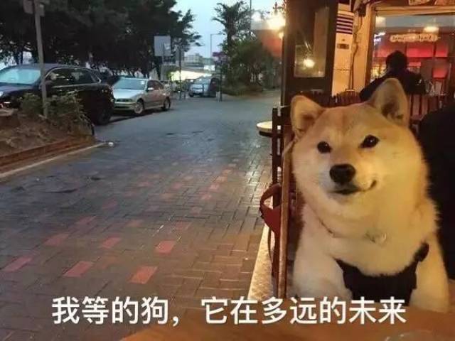 七夕情人节里的业界良心,送给众单身狗!