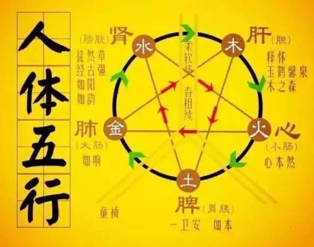 【中医】懂气机升降与五行就懂得中医治病的精髓