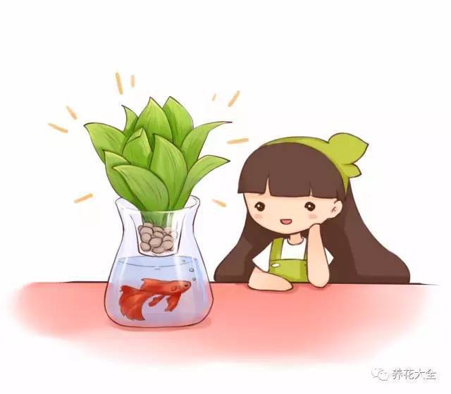 水培瓶里加点它,不黄叶不烂根,蹭蹭疯长!