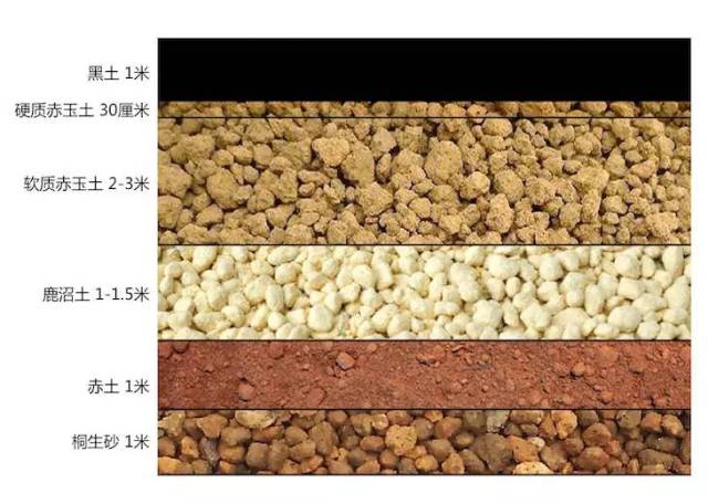 聊聊多肉常用的赤玉土,鹿沼土的那些事儿(1)