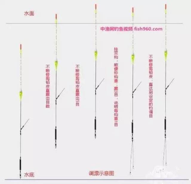 【图文详解】钓鱼找到清晰顿口调漂方法四步总结