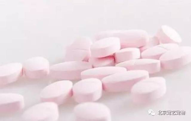 泰迪一直流鼻水半年了,泰迪流鼻涕是感冒了吗