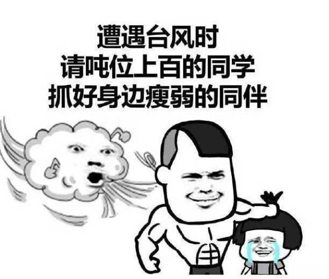 台风来了,是你该显耀你厉害的一面了