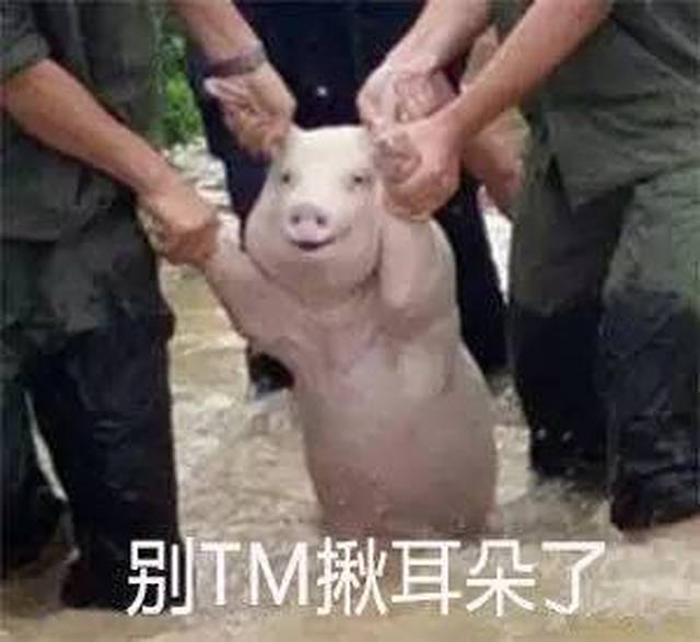 哈哈哈,史上被黑得最多的种族,竟然是它!