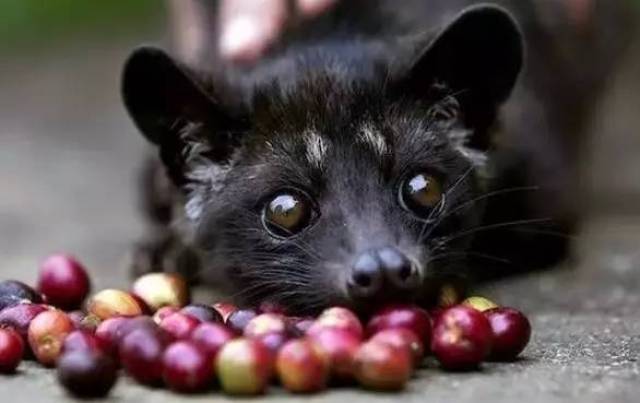 èʺȷ