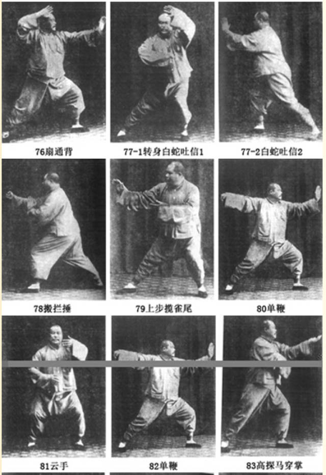 杨澄甫宗师晚年定型拳照图