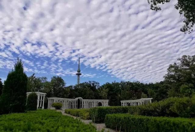 七夕+开学,单身狗哭了,老天笑了!青岛这周雨雨