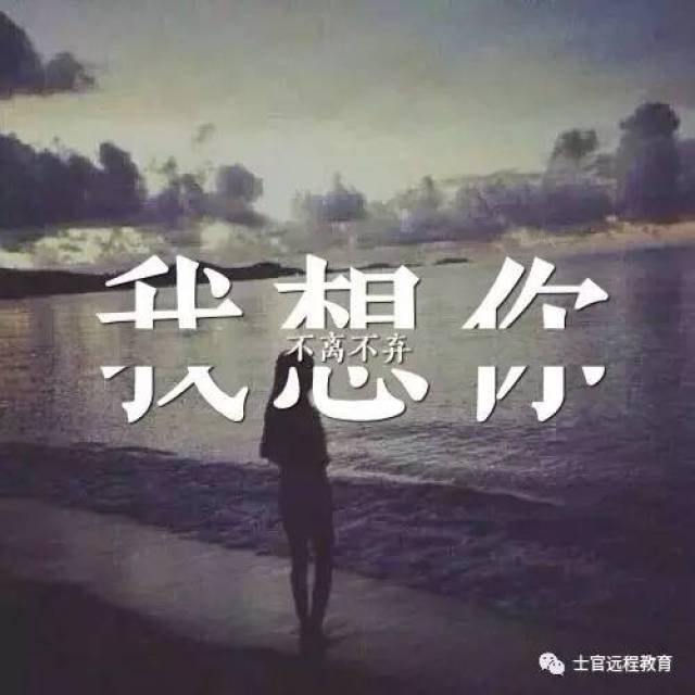 ʫС
