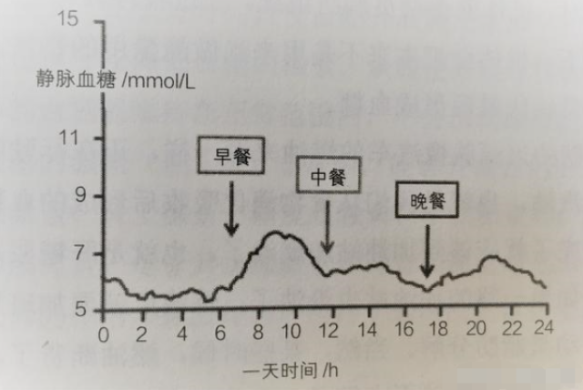 人体一天中的血糖是怎样变化的?