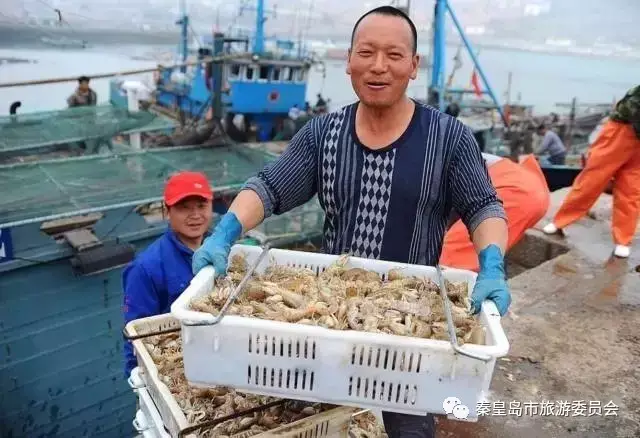 吃海鲜啦!秦皇岛开海进入最后倒计时,海鲜大餐已在路上!