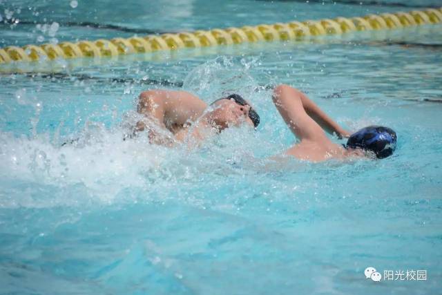 复旦二附中连续四年举办暑期游泳赛--为学生提