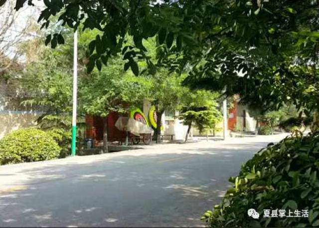 山西运城市夏县裴介镇小吕村出事了