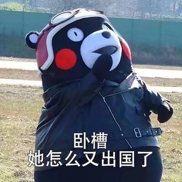 熊本熊出去旅游了!-搞笑频道-手机搜狐