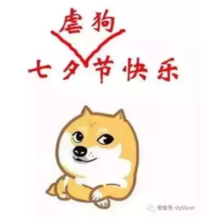 七夕特别篇 ▏没有秀恩爱就没有虐待,替单身狗发声!单身狗保护协会宣