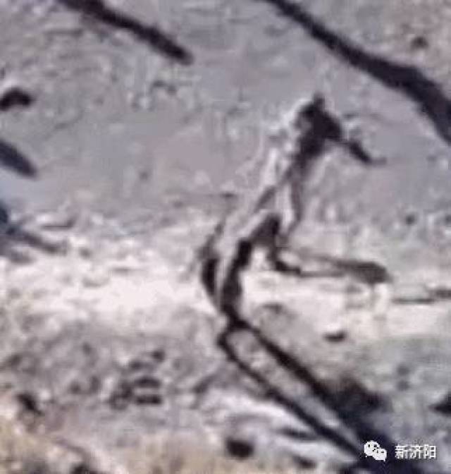 【新济阳|头条】中华民族的伟大胜利:解放军小兵飞踹印军,印度从洞朗