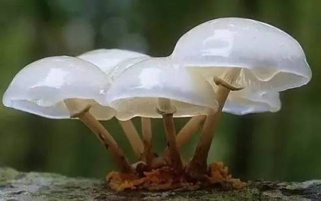 f44bdfe956a645c383e4ba48a57d1ebf.jpeg