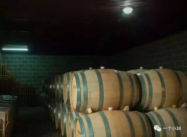 【快看】2017宁夏贺兰山东麓列级酒庄揭晓,绝