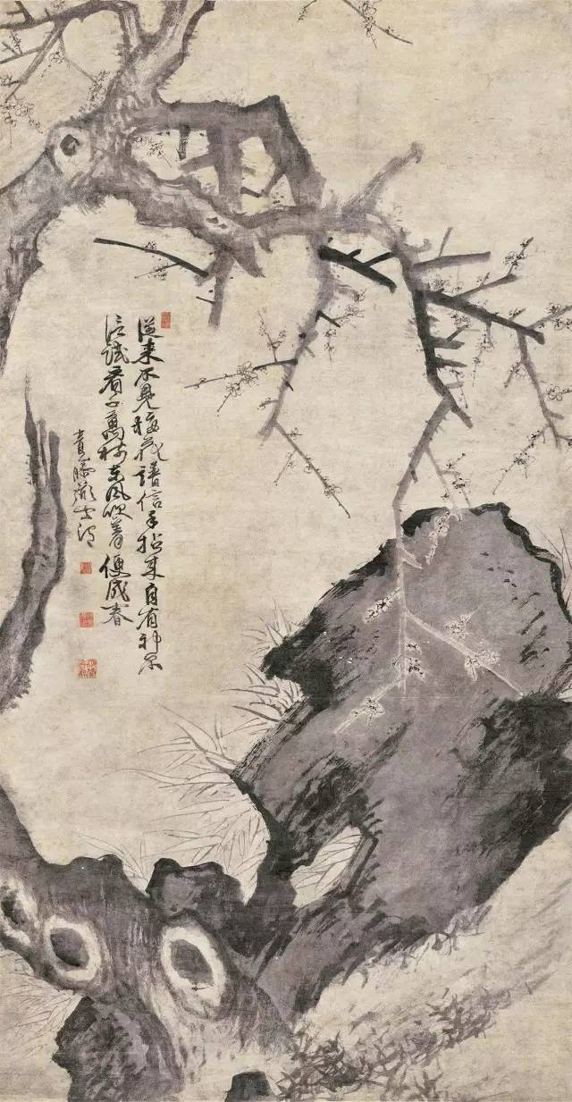 《中国美术》专题 | 徐渭画风由何而来