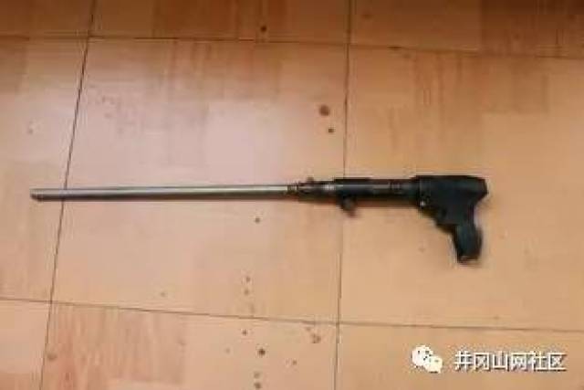 19岁小伙改造射钉枪欲打鸟,被井冈山市人民法院判刑