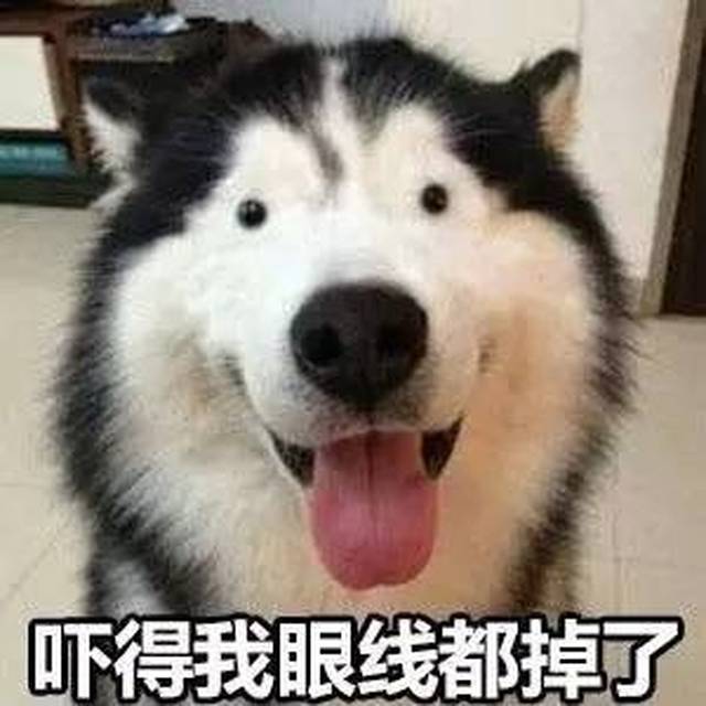 【今日神段】警察蜀黍打个车,差点吓死老司机!