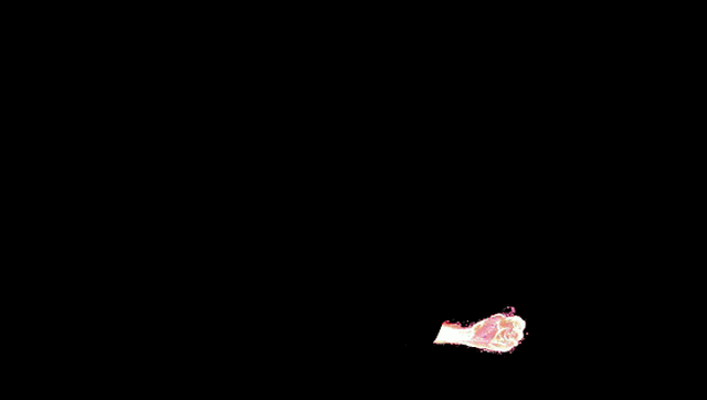 560_317