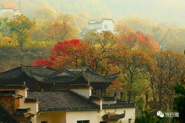 塔川的名气比不上邻居宏村,但秋天的塔川是摄影爱好者趋之若鹜的地方