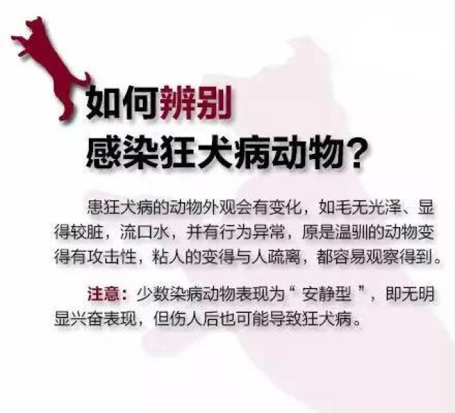 襄阳一男子狂犬病发作见人就扑,只因两个月前被狗咬未