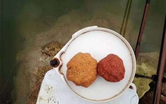 混养、野钓【打窝】都在这里!!