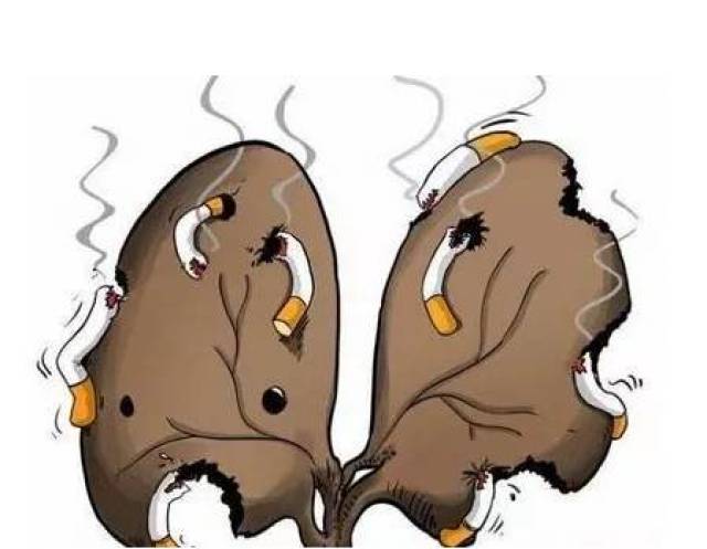吸烟已成慢阻肺重要发病因素