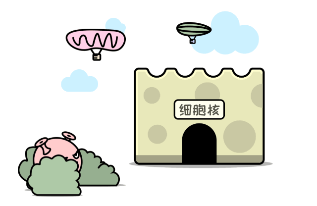 艾滋病病毒储存库(hiv dna)检测是什么呢?