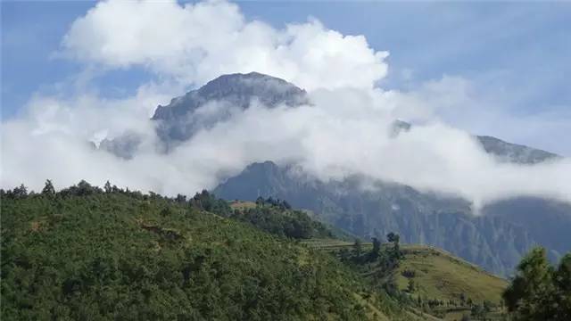 3米 大牯牛寨地势平缓 广阔坦荡,属高山,亚高山草甸 春夏季节,各色山