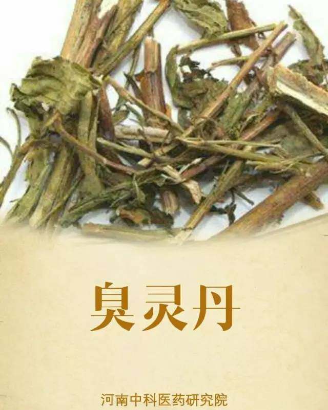 一味药之臭灵丹