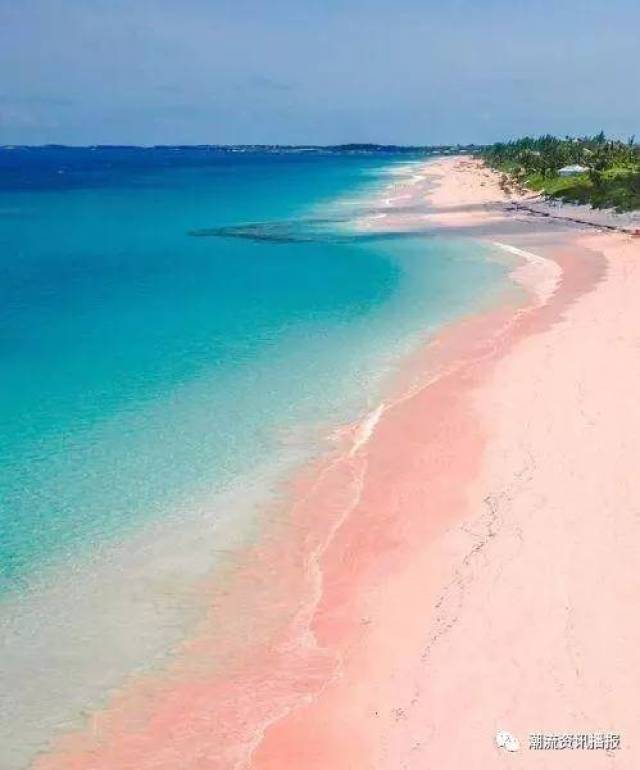 上最浪漫性感的粉色沙滩 恍如童话世界般 不禁少女心炸裂 巴哈马的海