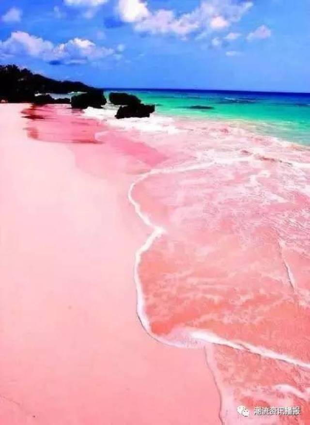 上最浪漫性感的粉色沙滩 恍如童话世界般 不禁少女心炸裂 巴哈马的海