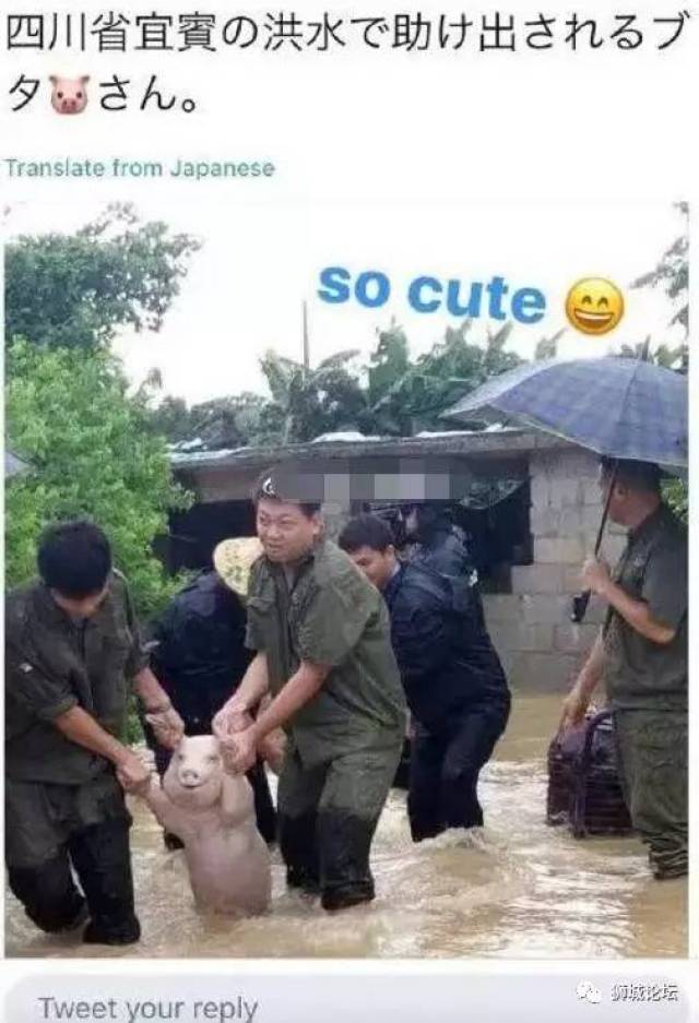 3290d95120d7470585d378e2e1836dfc.jpeg