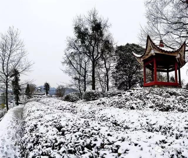 年代:民国 地点:祁门县茶山公园 保护范围:茶山东南西向至茶山山脚