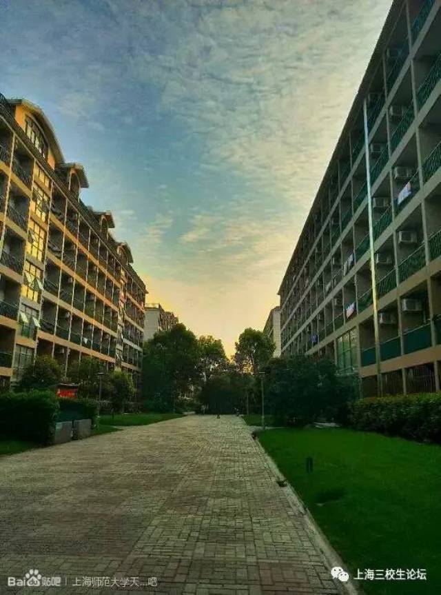 学校风景|上海师范大学天华学院