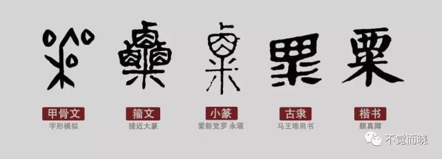 所以粟的含义,从一开始就只代表一颗颗的细小籽实,不像"谷"字,既为