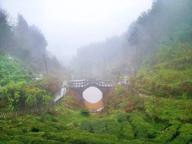 于6月中旬顺利地完成了"凤凰花果山"乡村旅游景区的打造