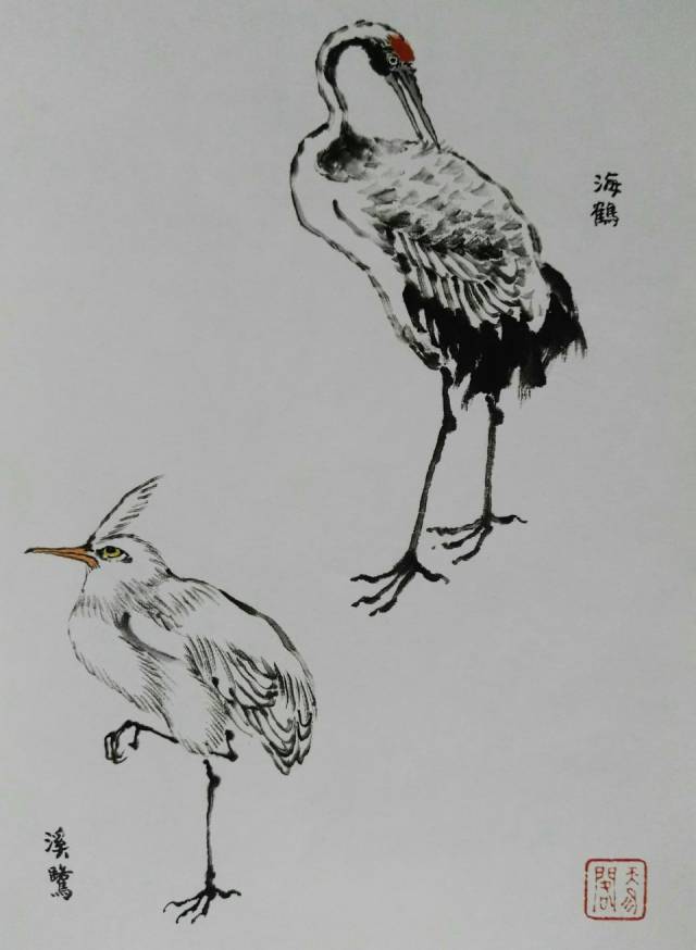 画鸟技法12个步骤分解和21种姿势,让你轻松入